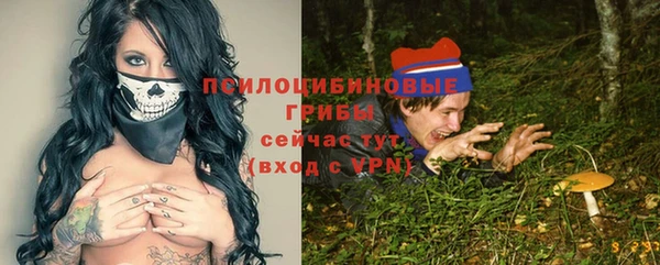 гашик Нижний Тагил