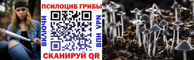 Галлюциногенные грибы Psilocybine cubensis  кракен tor  Алдан 